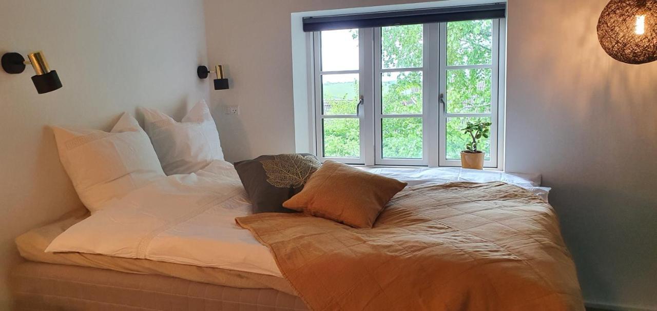 Knebel Hos Molsgaarden Bed & Breakfast エクステリア 写真