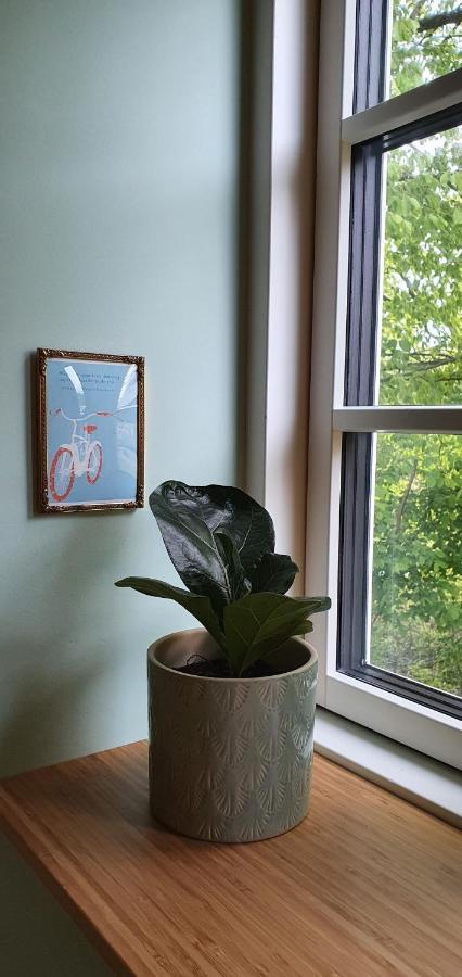 Knebel Hos Molsgaarden Bed & Breakfast エクステリア 写真